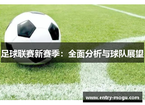 足球联赛新赛季：全面分析与球队展望