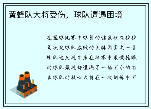 黄蜂队大将受伤，球队遭遇困境